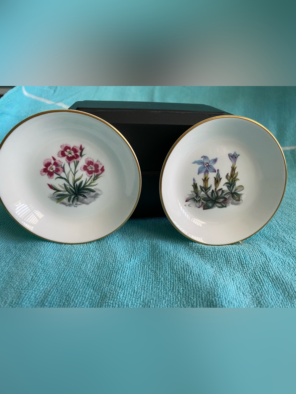 (2) Royal Worcester Trinket Dishes Alpine Flowers Pink & Blue Bone China